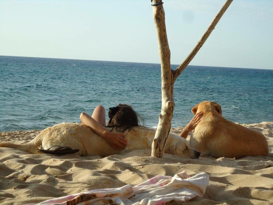 In spiaggia con il tuo Pet